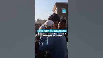‘Freedom is priceless’: Emotional return for liberated Palestinian prisoners • FRANCE 24