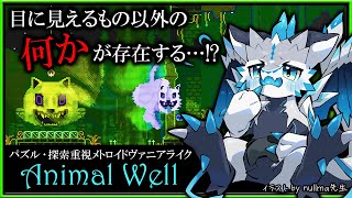 【#AnimalWell | Day02】目に見えるもの以外の何かが存在する…！パズル・探索重視のメトロイドヴァニア「アニマルウェル」初見攻略実況 #vtuber