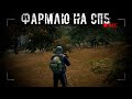 Бегаю Фармлю Stalker Online Stay Out  Спб