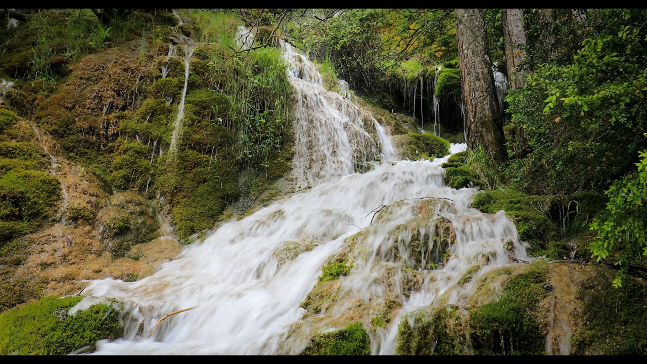 Peaceful Forest Waterfall 🌿💧 Relaxing Nature Sounds for Sleep ...