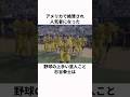 「アメリカで人気者になった」杉谷拳士に関する雑学#プロ野球 #野球雑学
