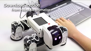 rero Tutorial 4 - Tortoise Robot [Programming]