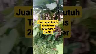 TERJUAL jual tanah murah belakang rumah warga Rp40jt luas _ 2000m 081219164373 #shorts #viral #fyp