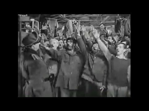 第十七捕虜収容所 Stalag17 1953米 Youtube