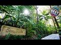 Songbirds Rainforest Retreat | Gold Coast, Australia | Hotel Review 🛏️