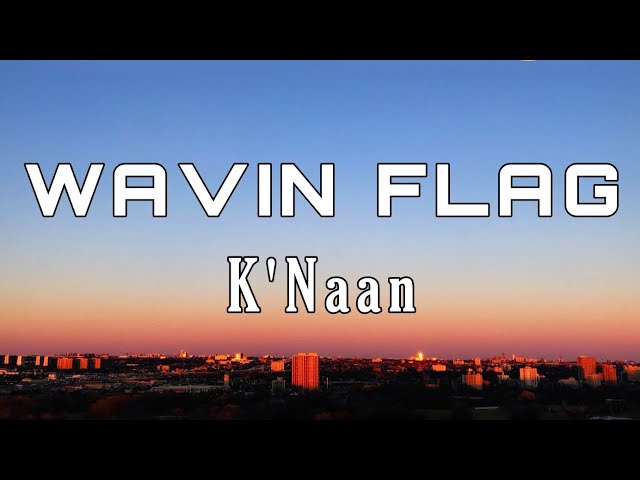 Wavin Flag Album Cover