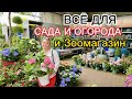 Что можно купить в Нидерландах в магазине всё для сада и огорода. Обзор товаров и цен.