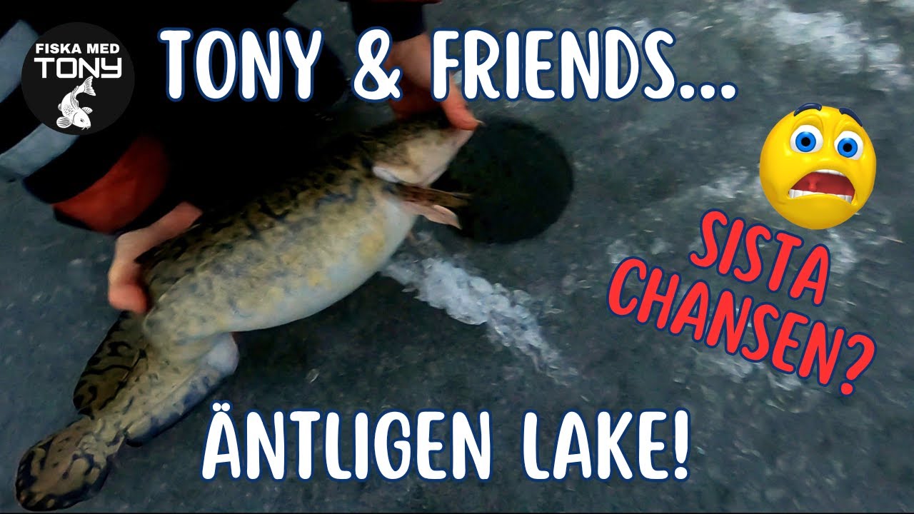 Äntligen lake! Och kanske sista chansen?