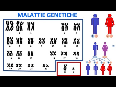 Video: Le malattie genetiche sono sempre ereditarie?