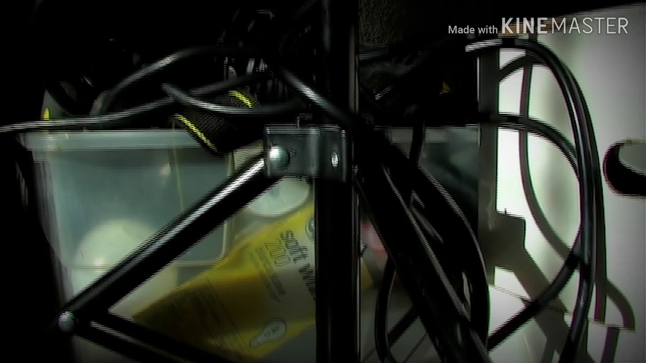 Canon XL2 Test Footage 002