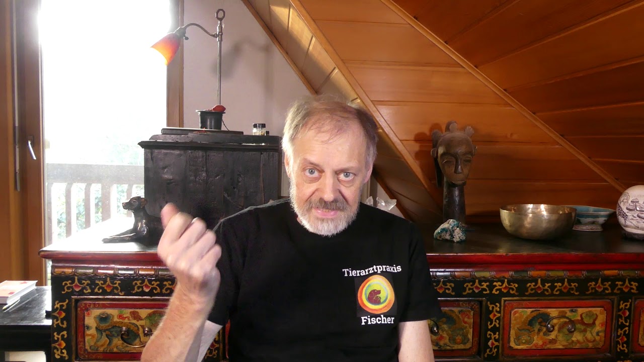 Fuchsräude, eine tödliche Gefahr für Hunde und Katzen???