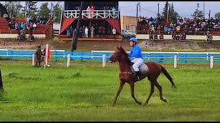 Скаковой день 21 июня. Дистанция 1000 м. Кыра Кыыс