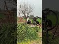 Punjab Village Life, Punjabi Culture Punjab Pakistan, cgylk