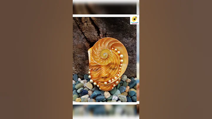 AMAZING SCULPTURES FROM DRIFTWOOD-DEBRA BERNIER|AW...