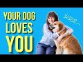 Why Are Dogs So Loving? ( The Science Behind Dog&#39;s Affection )