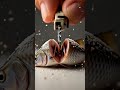 Can a Tiny Chainsaw Cut a Frozen Fish?❄️🐟🧊