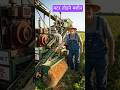 किसान ने बना दी मटर तोड़ने की मशीन 😲 अब खेत से मटर तोड़ना हुआ बेहद आसान | #matar_machine