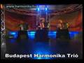 Budapest Harmonika Trio - Bumble bee - Accordion - Harmonika - Fisarmonica