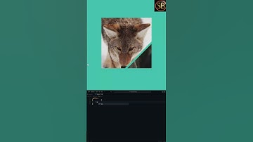imag card #javascript  #htmlcss