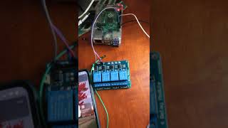 Raspberry Pi Homekit Garage Opener - Prototype