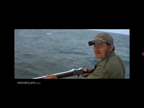 Jaws (1975) - Barrels Scene (5/10) | Movieclips #jaws #movie #6k