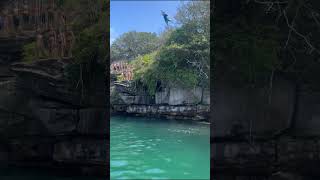 Boy Jumps From Tree Into Water