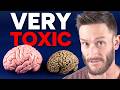 The Shocking Cause of Brain Fog (it’s NOT Sugar)