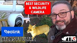 I test the best Security and wildlife camera with color night vision. #Reolink  #atlasptultra