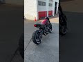 Ducati Scrambler 803 cold start! 🔊🔊