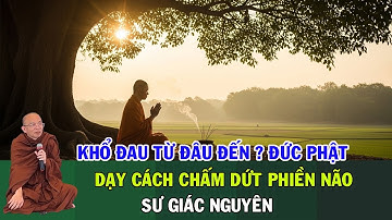 Khổ Đau Từ Đâu Đến? Đức Phật Dạy Cách Chấm Dứt Phiền Não | Sư Giác Nguyên | Sư Toại Khanh