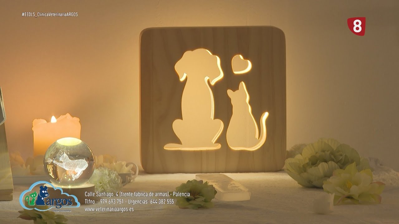 'El espacio de la semana' 📺 Clínica Veterinaria ARGOS 🐾 (15-01-2026)