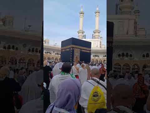 صاحبتي وحبيبتي ربنا يخليك ليا