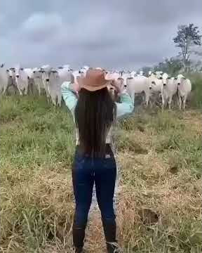 Download lagu Kudi ki taka te