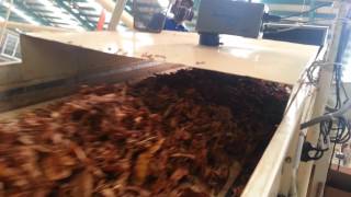 Moisture Control On Tobacco Belt