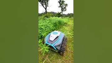 The best lawn-mowing robot in action!😱 #shorts