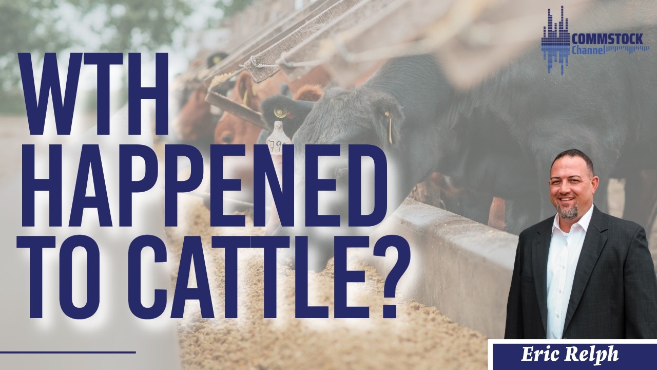 WTH Happened To Cattle With Eric Relph