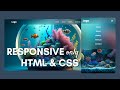 How to Create Responsive Navbar using HTML &amp; CSS