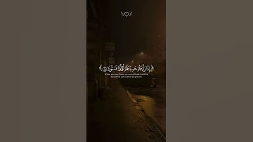 عيناً فيها تسمى سلسبيلا #محمد_اللحيدان #سورة_الإنسان #بندعم_بريرتنا 
