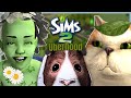 Koty, placki, goci i liście | The Sims 2 Uberhood #13