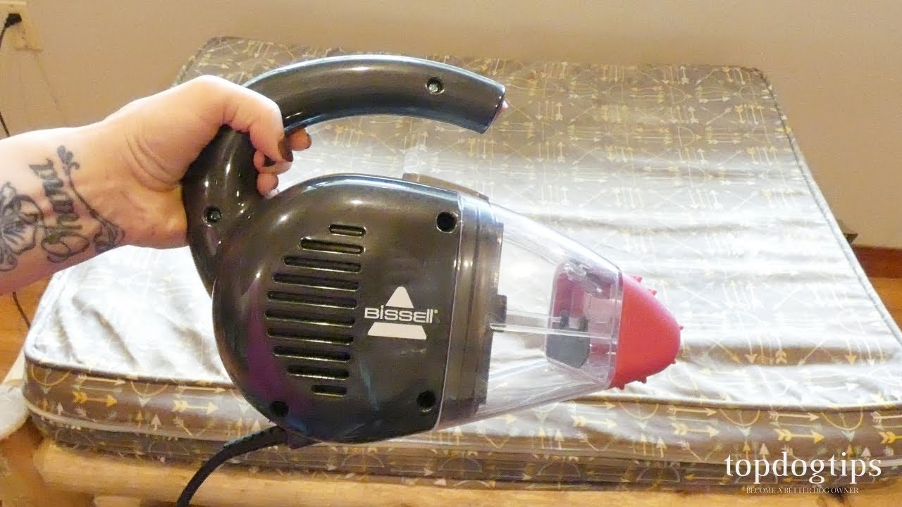 Pet Parents Need This Handheld Vacuum, Bissell Pet Hair Eraser Review