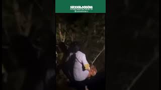 Báo Sức khỏe & Đời sống