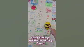 bee bot coding pollination challenge #coding #elementary #science #stem #kindergarten #pollination