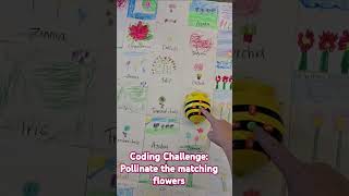 bee bot coding pollination challenge #coding #elementary #science #stem #kindergarten #pollination