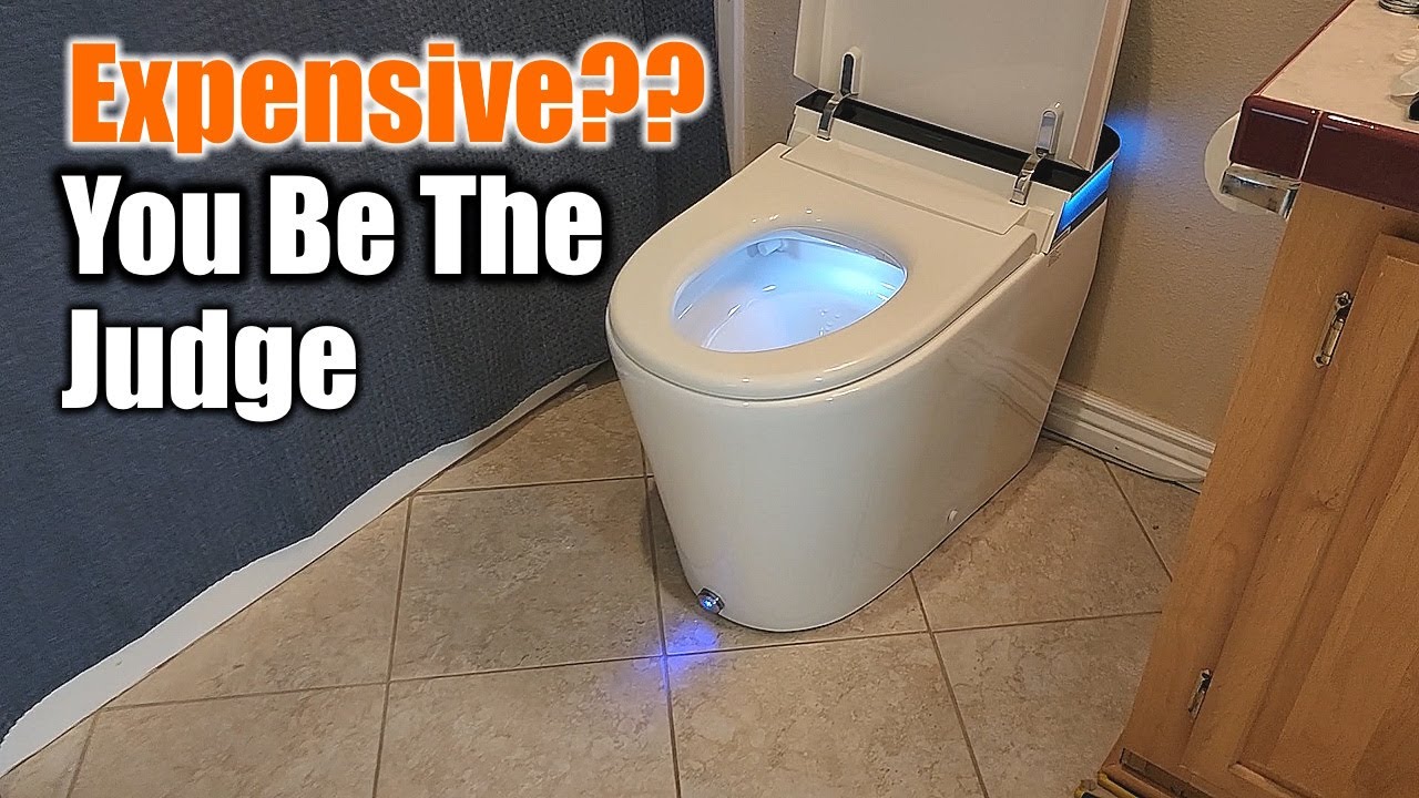 The most Expensive Toilet I have Ever Installed  The Horow T38P