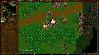 Warcraft 2 Garden of War 4v4