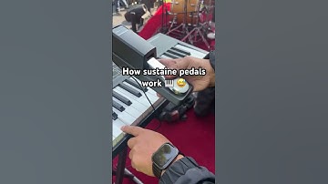 How keyboard 🎹 sustain pedals work 😆😆