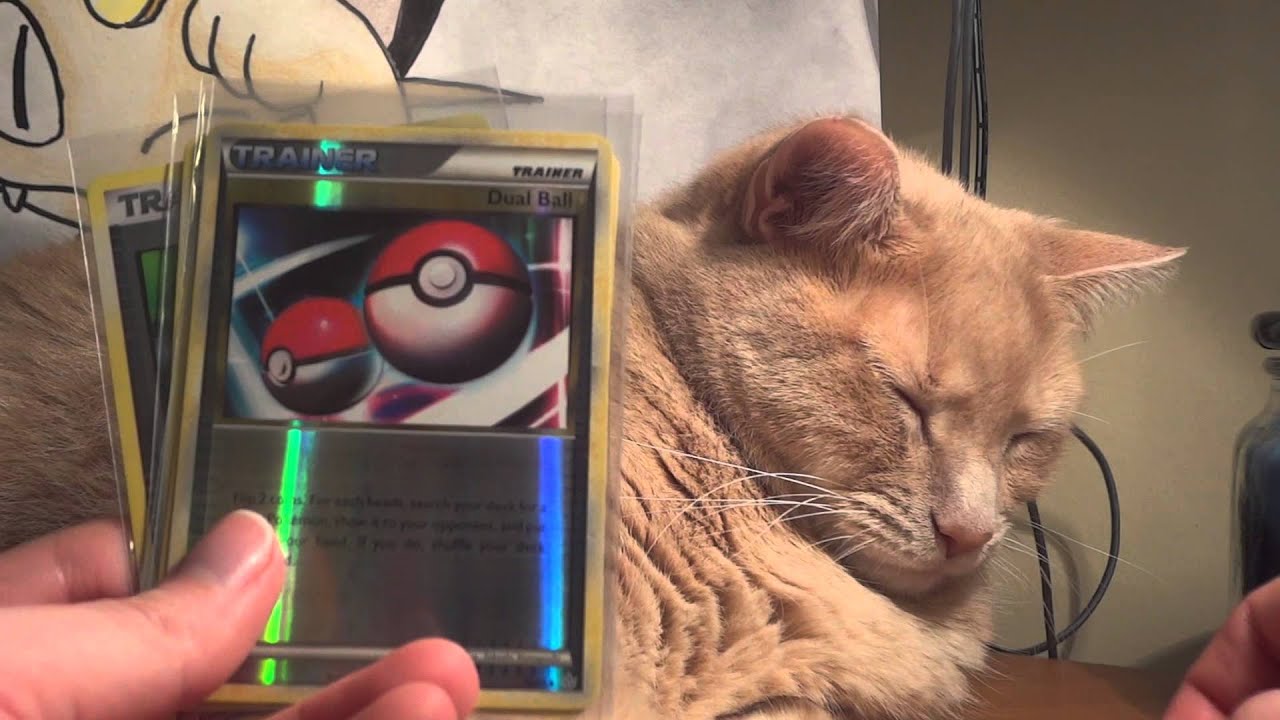 Pokemon TCBM FCBM - StarCardCollector