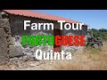 Journey to buying a FARM in PORTUGAL: Part 21 (Full Farm tour)