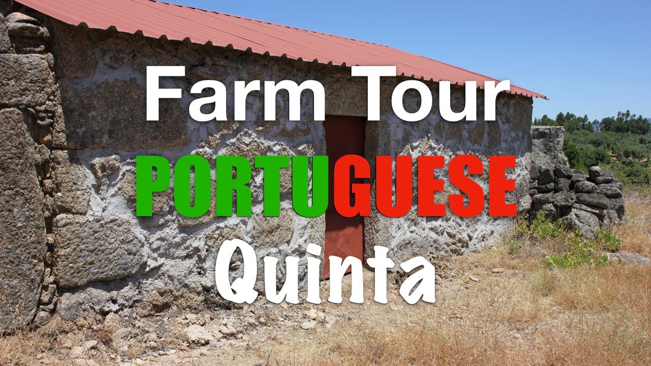 Journey to buying a FARM in PORTUGAL Part 21 (Full Farm tour) YouTube