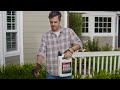 Spruce Weed & Grass Killer Lets One More Dog Out of the House